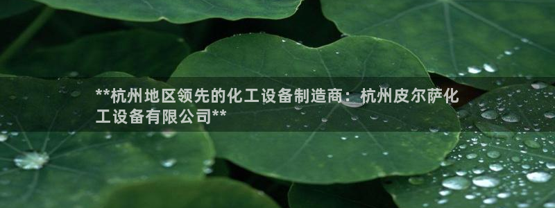 新城平台代理怎么做