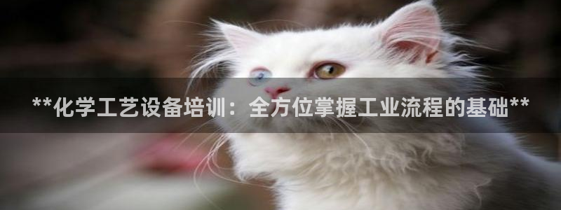 新城平台登录入口官网首页下载