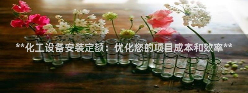 新城平台登录