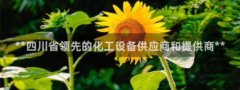新城平台登陆
