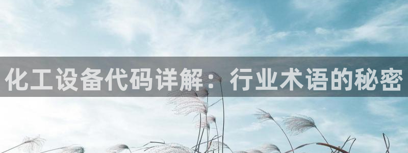 新城平台注册登录地址怎么填