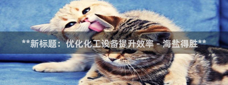新城平台登录入口官网下载安装