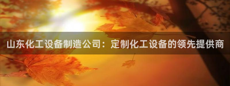 新城平台注册公司流程及费用