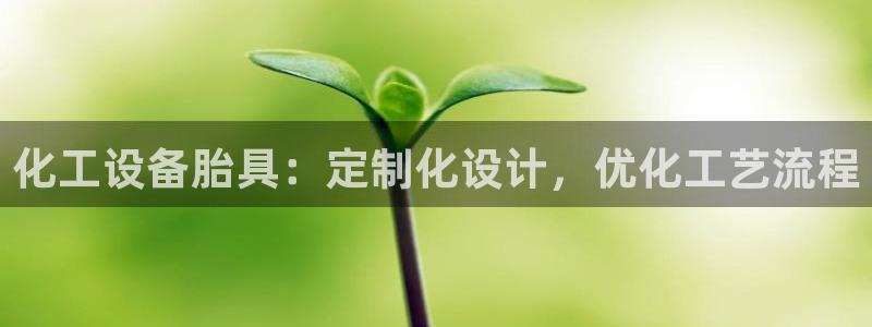 新城平台注册公司流程视频