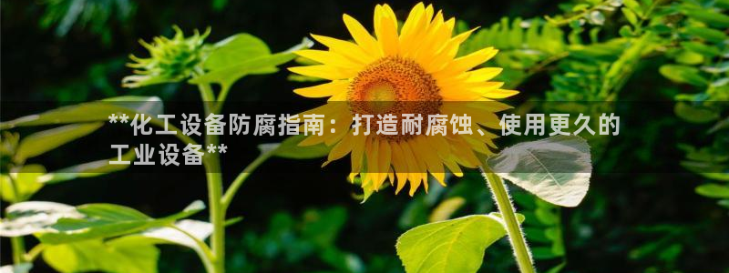 新城平台登录入口官网网址