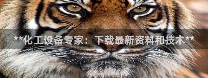 新城平台注册登录地址怎么填