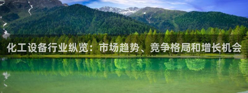 新城平台企业信息查询