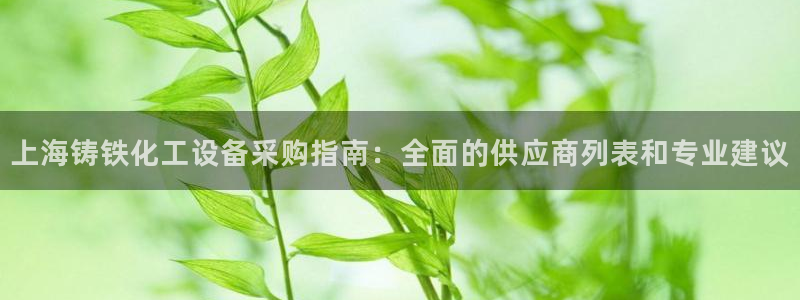 新城平台登录入口官网下载