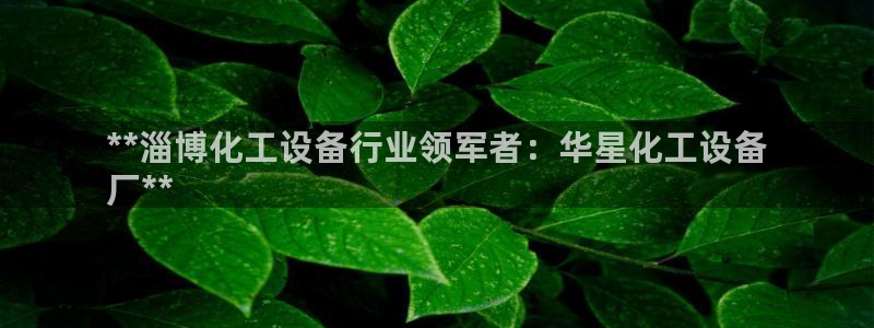 新城平台注册资金多少亿
