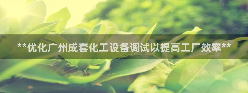 新城平台登录入口官网查询信息