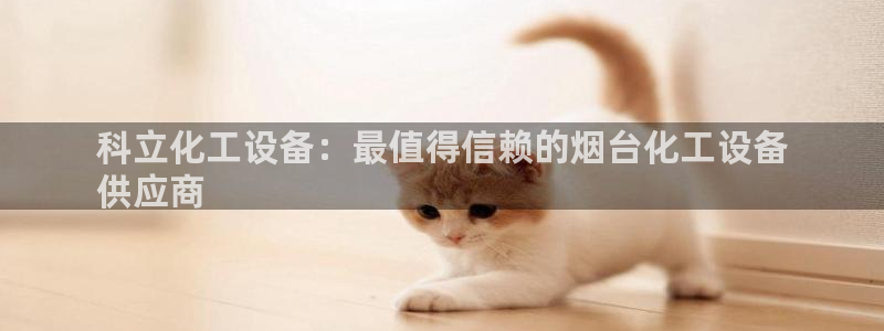新城平台登录入口官网首页下载