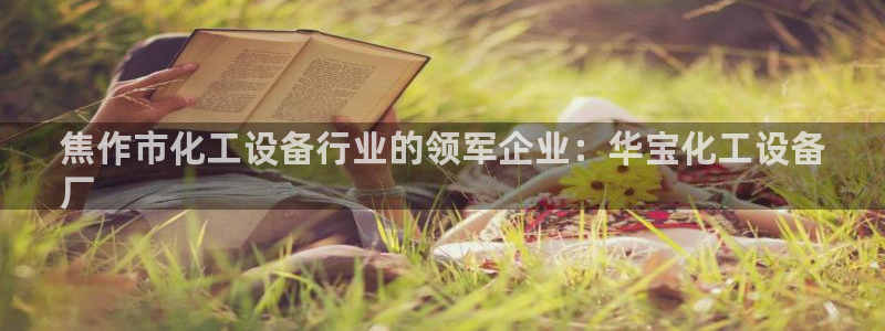 新城平台线路登录不上去怎么回事呀