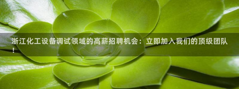 新城平台注册流程及费用