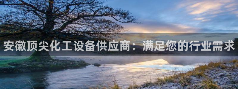 新城平台注册公司流程视频