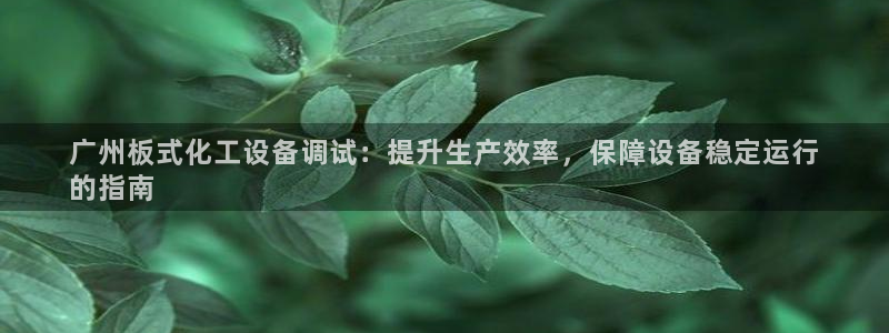 新城平台登录密码忘了