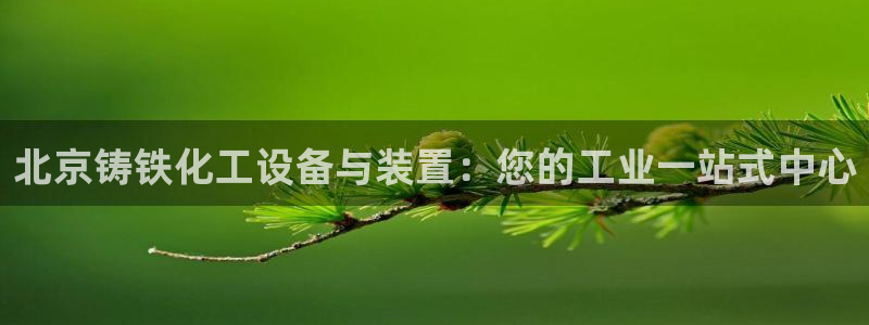 新城平台登录密码忘了怎么找回