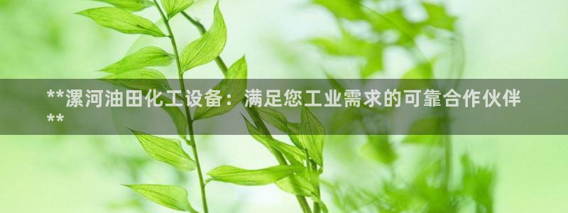 新城平台线路登录不上去了怎么办