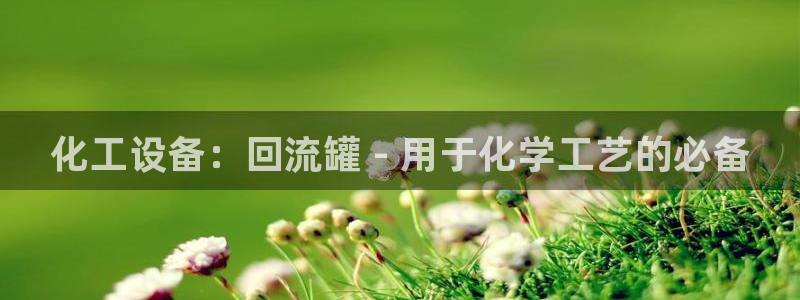 新城平台入.新城平台.全国联网是什么意思