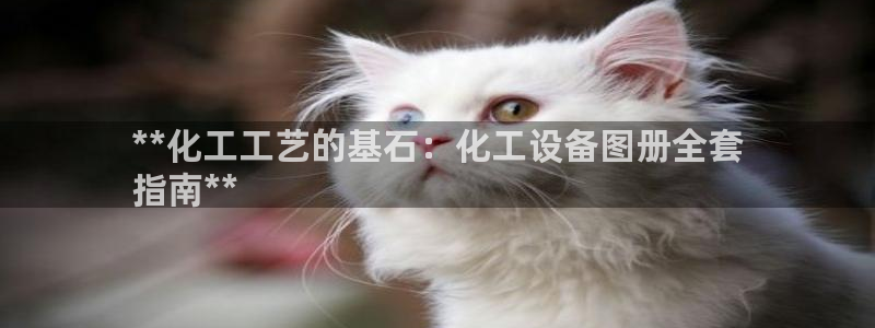 新城平台注册资金多少亿
