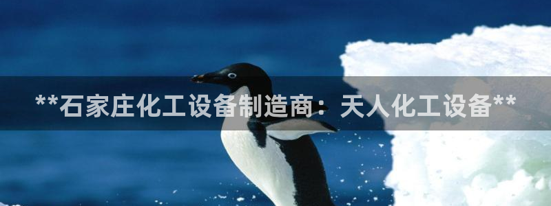 新城平台在线登陆