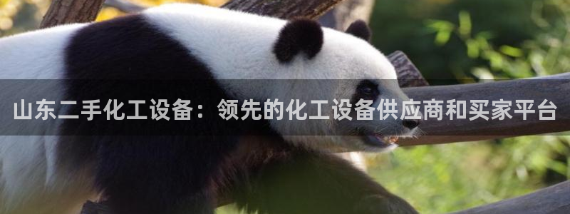 新城平台代理注册