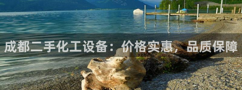 新城平台注册公司流程