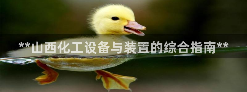 新城平台注册资金多少亿