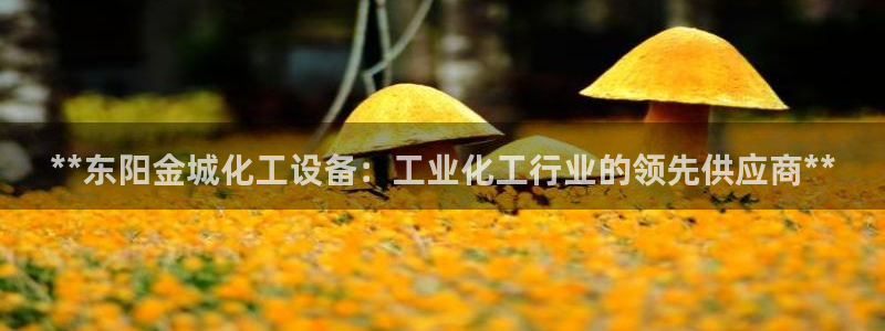 新城平台在线登陆