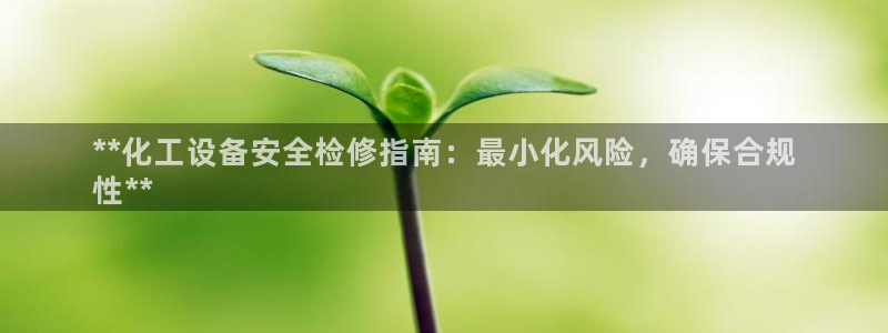 新城平台总代