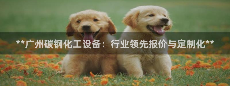 新城平台登录入口官网查询信息