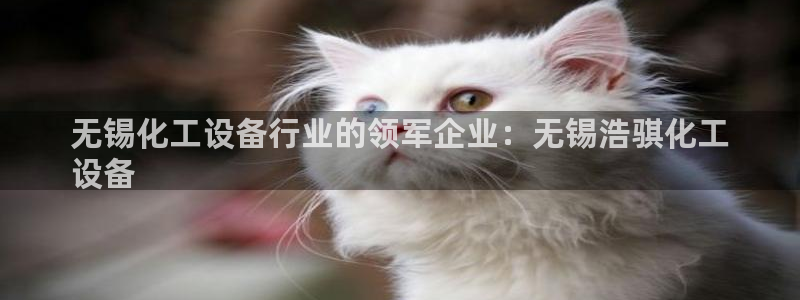 新城平台注册登录地址在哪