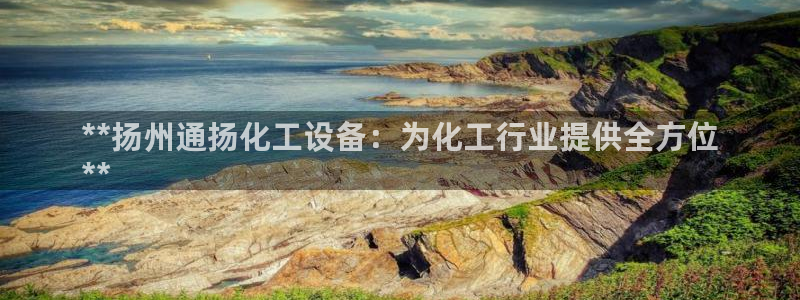 新城平台登录密码忘了怎么找回