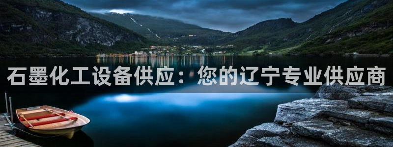 新城平台登录入口网站