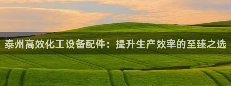新城平台注册公司流程视频
