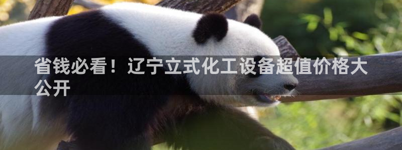 新城平台线路登录