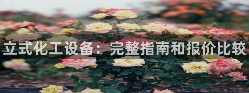 新城平台入.新城平台.全国联网是什么意思