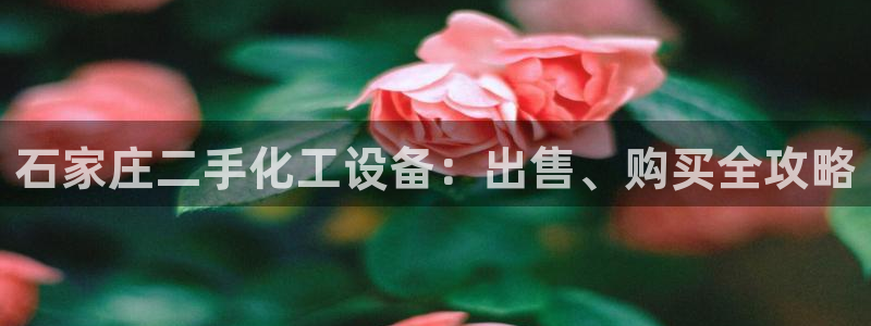 新城平台登录入口