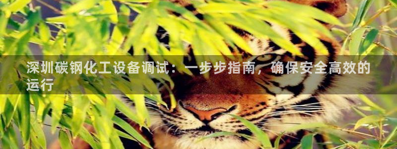 新城平台官网注册