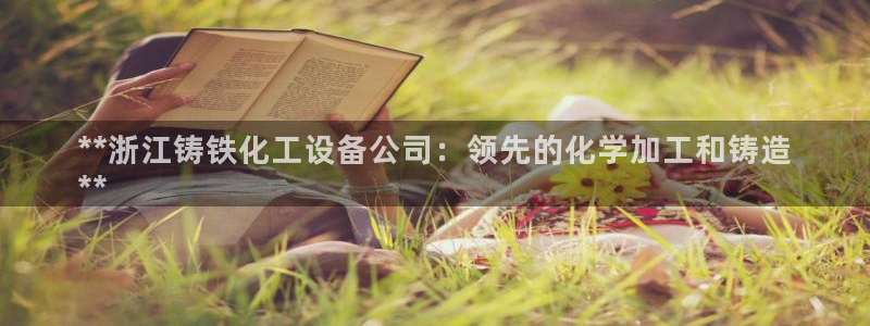 新城平台是干嘛的公司啊