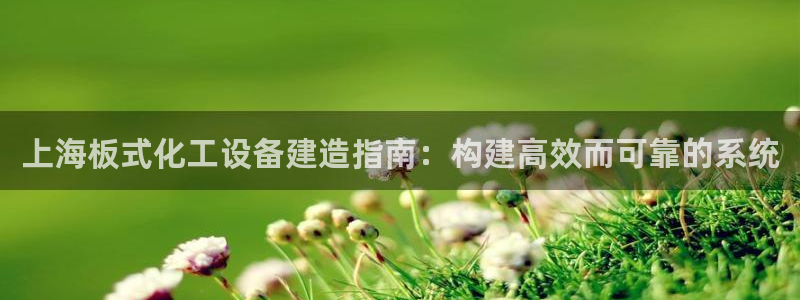 新城平台是干嘛的公司啊