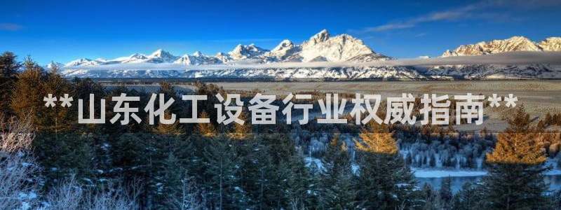 新城平台登录入口官网网址是什么