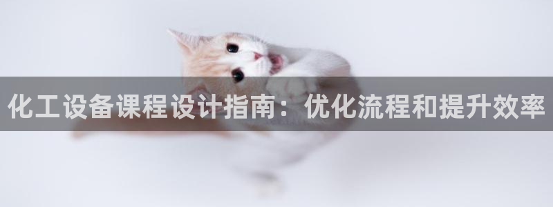 新城平台代理注册公司
