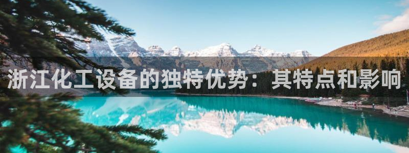 新城平台登录入口网址