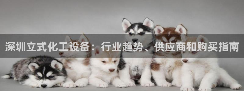 新城平台平台最新活动信息