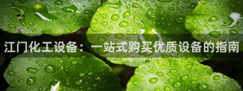 新城平台注册流程及费用