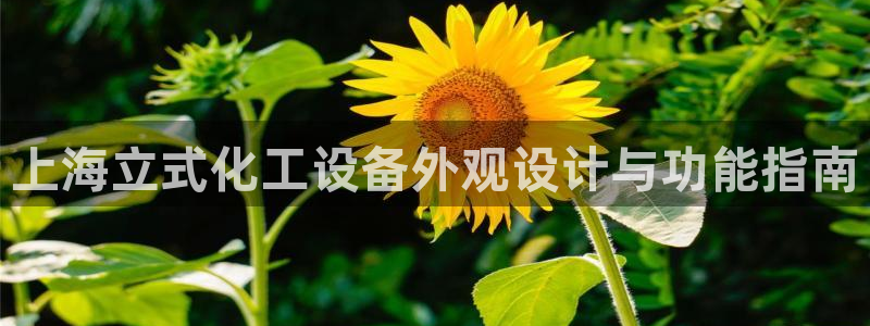 新城平台注册公司流程图