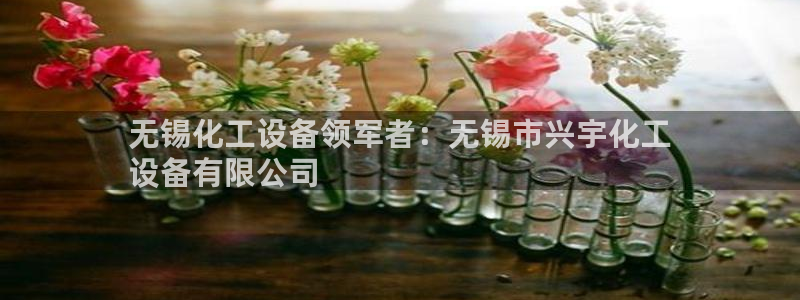 新城平台注册网址查询