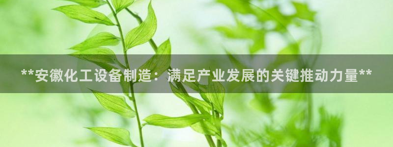 新城平台注册公司流程图