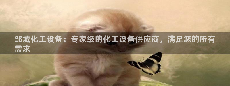 新城平台官网首页入口