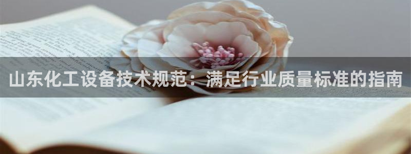 新城平台登录入口网站